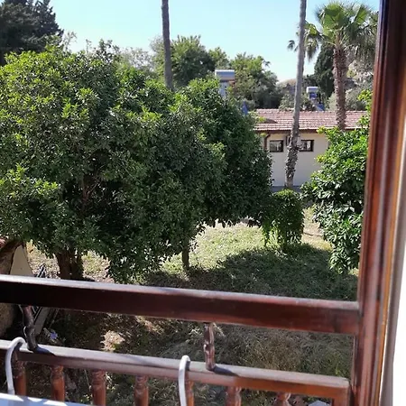 Adali מלון *
